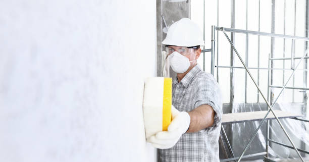 Best Biohazard Mold Removal  in Bellaire, TX